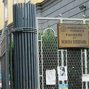 https://le-3-sorelle-house.hotels-amalfi.com